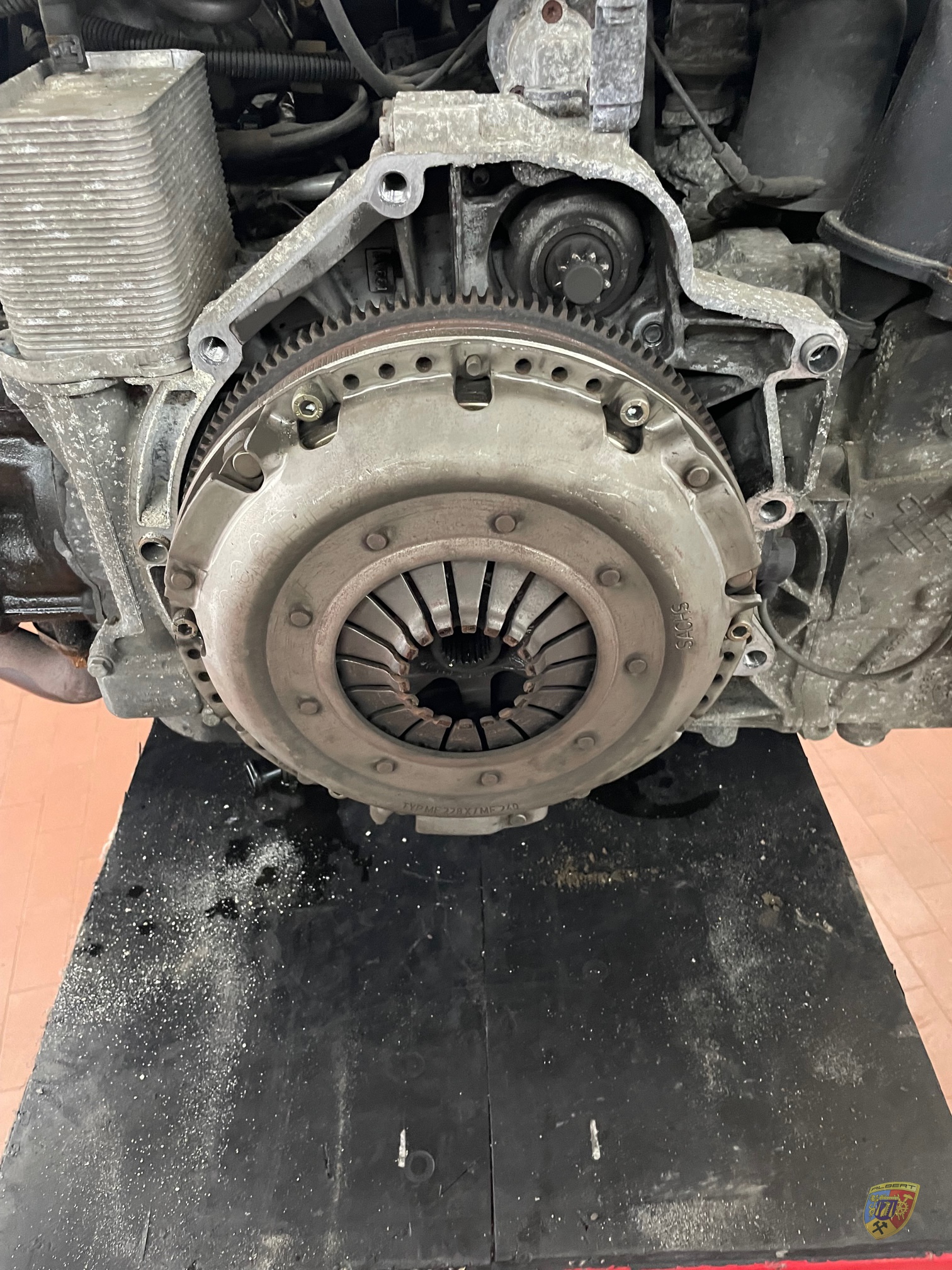 Porsche 996 Cabrio 4S Motorschaden Dr. Rexx / Komm. Seegers