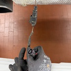 Porsche 997 Carrera Christian Motor Revision bei Albert Motorsport